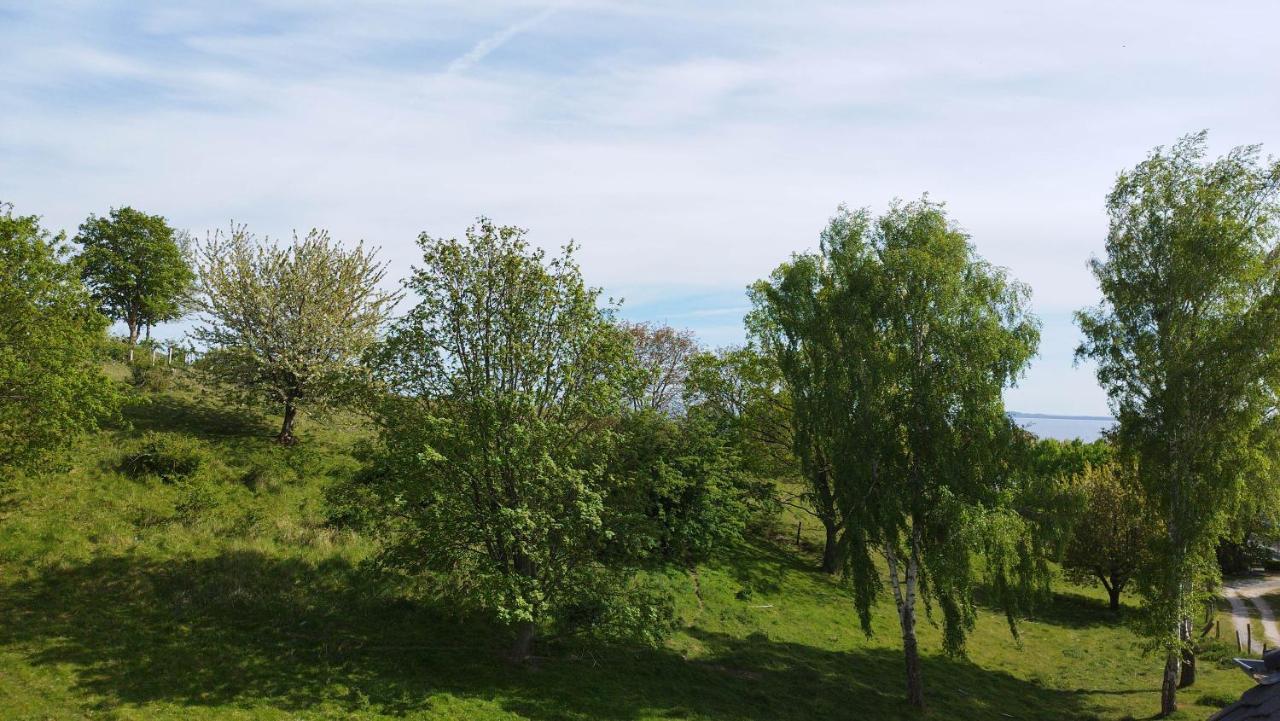Traumblick Und Komfort - Lichtdurchflutete 85 Qm Wohnung Nahe Suedstrand Goehren Inklusive Schwimmbad Und Sauna Im Ahoi Sellin 外观 照片